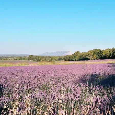 Maison Francoise לינה וארוחת בוקר